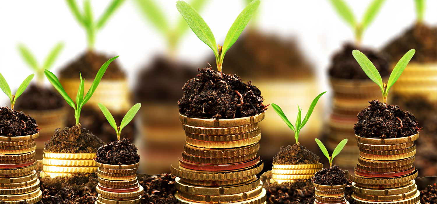 Save Borrow Grow